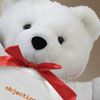 teddy bear, baby and kid lawyer gifts