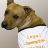 lawyer dog t-shirts